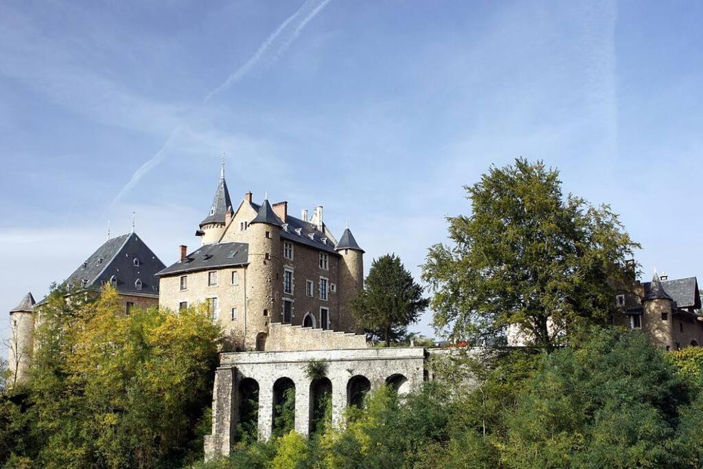 Chateau D'Uriage - Duplex Avec Terrasse Privative Saint-Martin-d'Uriage Luaran gambar